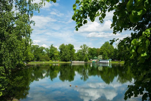 Парк Останкино пруд