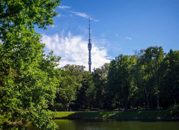 Парк дубовая роща Останкино