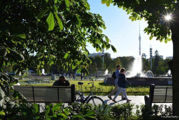 Парк Останкино Москва