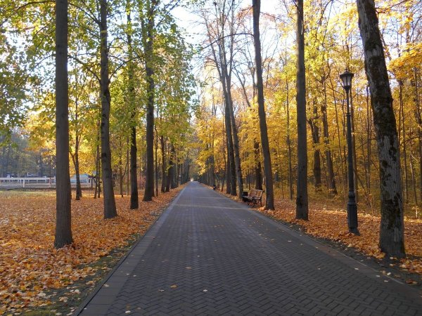 Парк Останкино осень