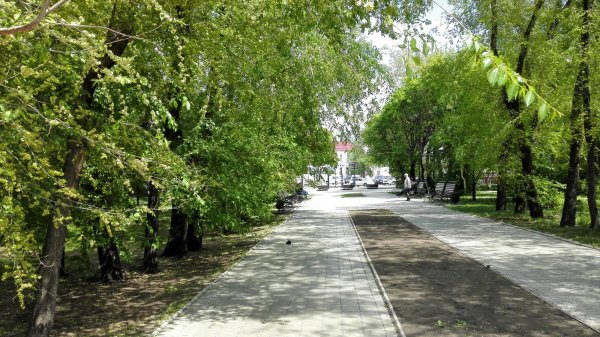 Сквер Волконских Иркутск