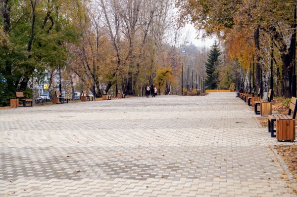 Лисихинский парк Иркутск