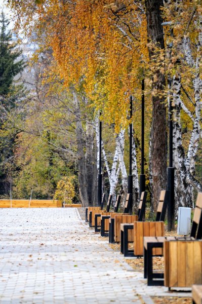 Лисихинский парк Иркутск