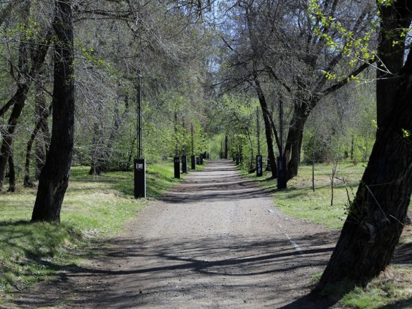 Парк ЦПКИО Иркутск