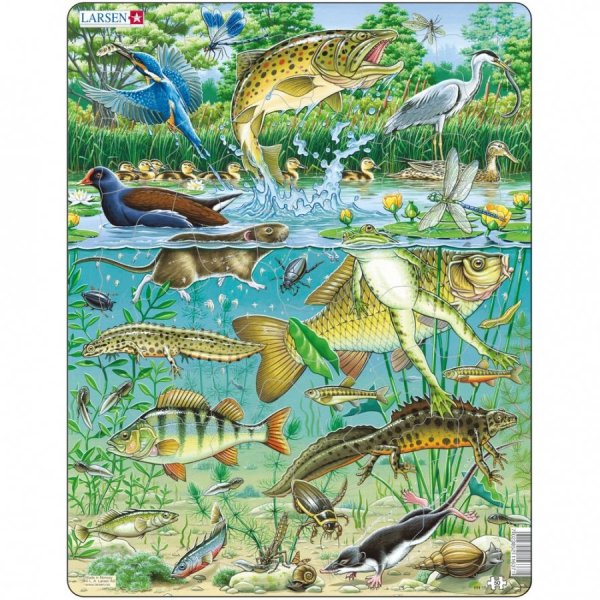 Larsen fh19 - пруд