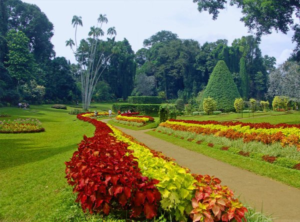 Европейский парк