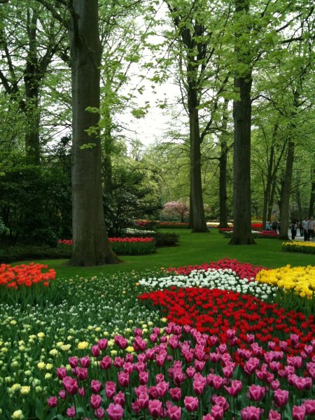 Парки Европы