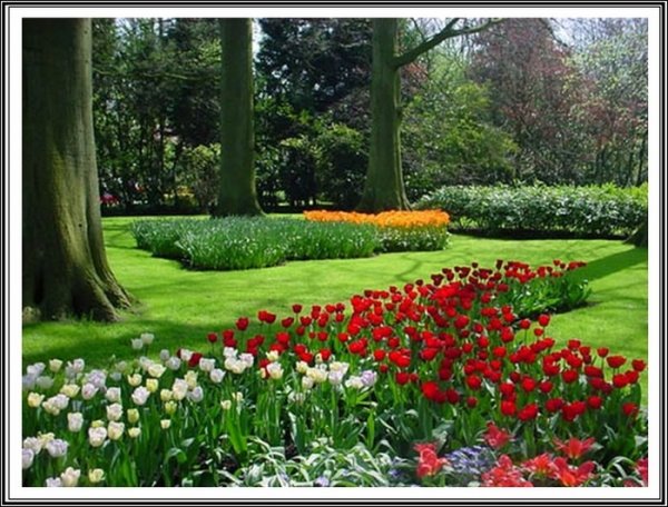 Европейский день парков (European Day of Parks)