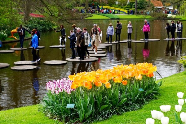 Европейский день парков