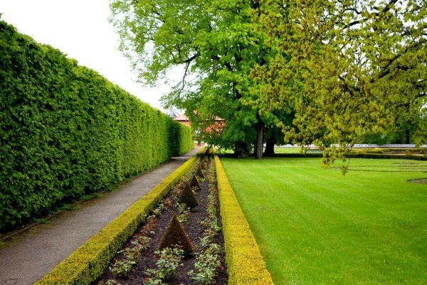 Европейские парки и скверы