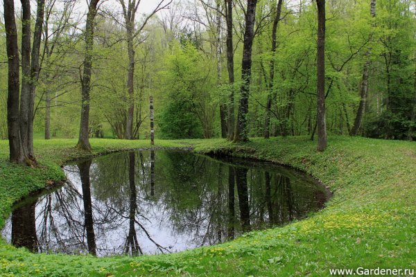 Йонейкишкю парк Европы