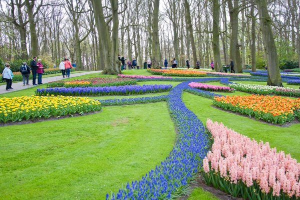 Европейский день парков картинки