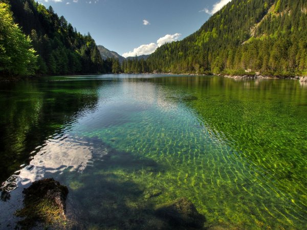 Озеро Рица Абхазия