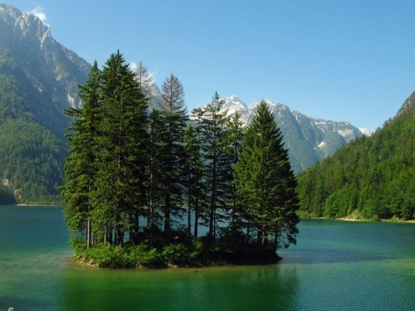 Озеро в лесу