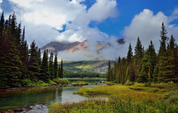 Аляска горы лес