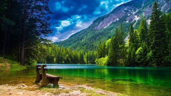 Озеро в лесу