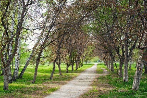Чкаловский парк Екатеринбург
