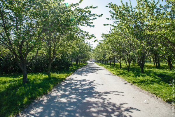 Парк Чкалова, Екатеринбург, улица Чкалова