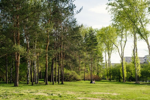 Парк имени Чкалова Екатеринбург Вторчермет