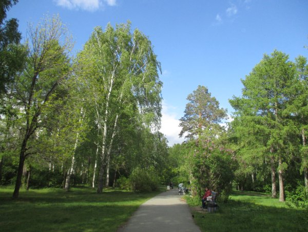 Парк имени Чкалова Вторчермет