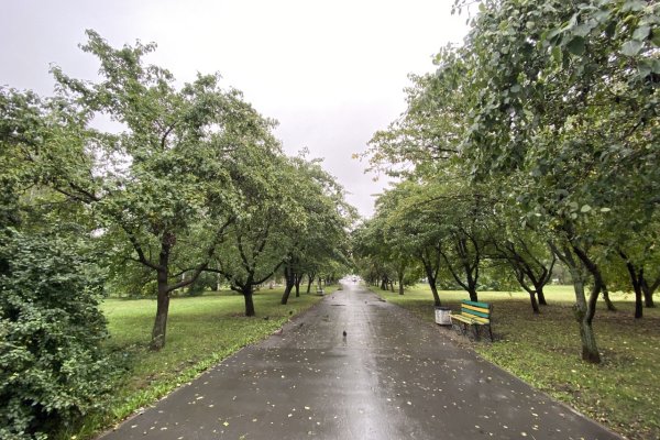 Парк Чкалова Екатеринбург