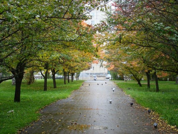 Парк Чкалова Екатеринбург 2021