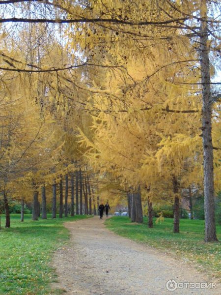 Парк Чкалова Екатеринбург 1990