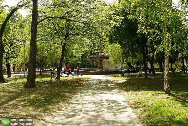 Фото в августе парки и скверы