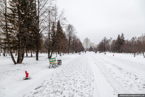 План парка Чкалова Екатеринбург