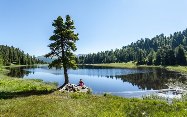 Озеро с лесом