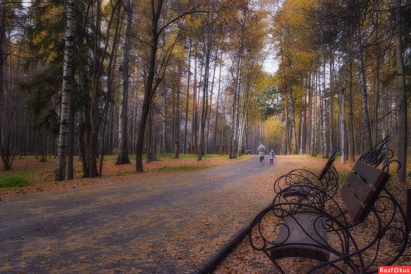 Усадьба в парке Степанова Иваново