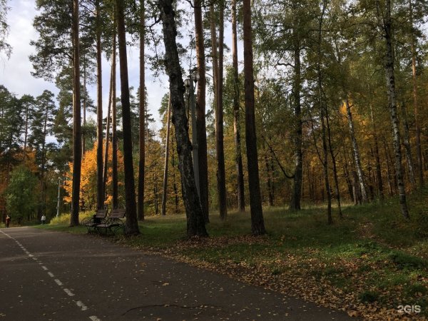 Парк Степанова Иваново