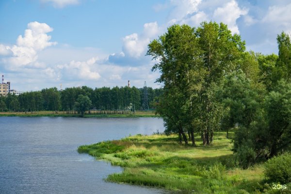 Иваново Ивановский лесопарк