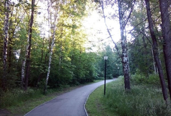 Иванова парк Степанова