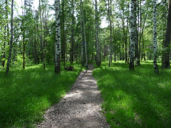 Парк Степаново Иваново