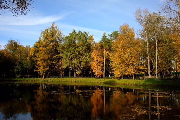 Осень в Серпухове парк Олега Степанова