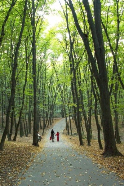 Национальный природный парк голосеевский