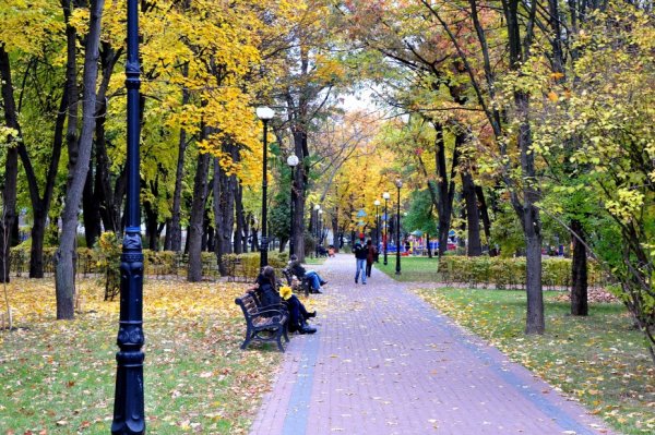 Киев парк