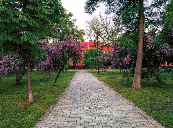 Парк Тараса Шевченко