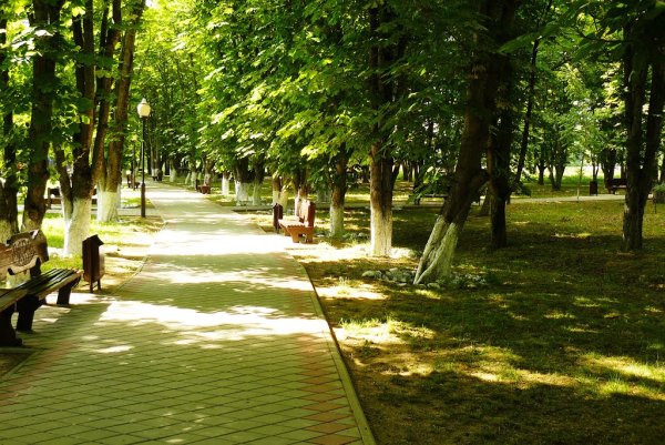 Горячий ключ Центральная аллея