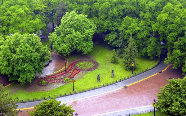 Лесопарк фото