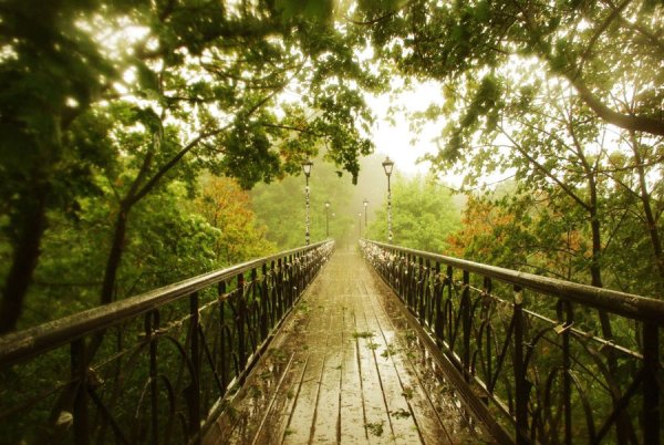 Мост влюбленных Киев