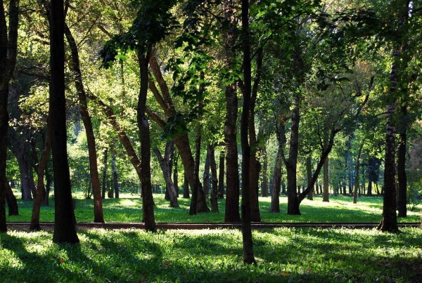 Коломна городской парк