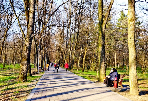 Аллея парка пустая