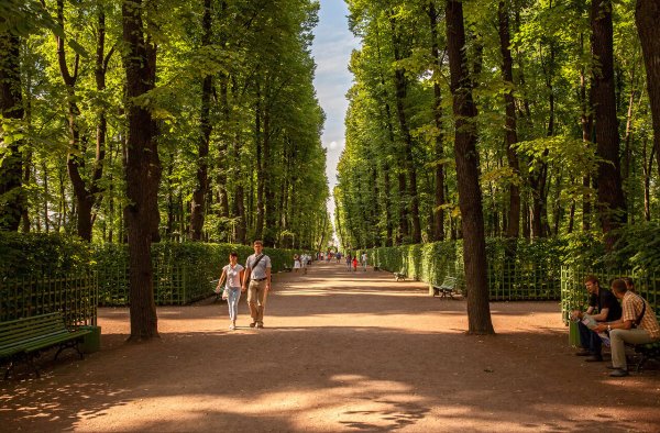 Липовая аллея Нескучный сад