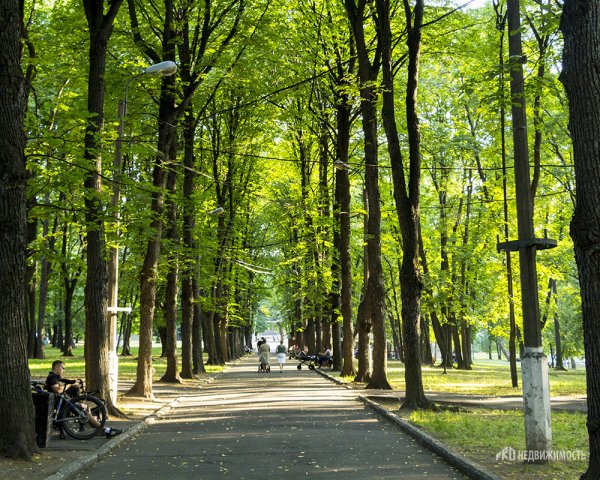 Парк Лефортово Липовая аллея