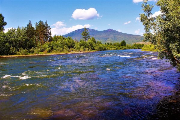 Река Июс Хакасия Тайга