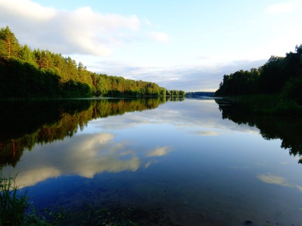 Йошкар-Ола заповедник большая Кокшага