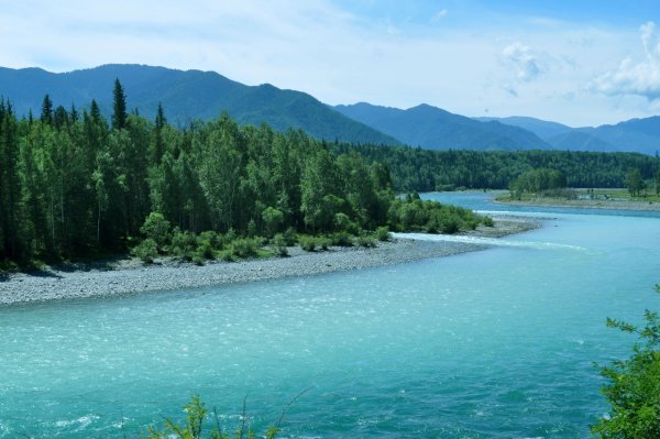 Катунь река Алтай