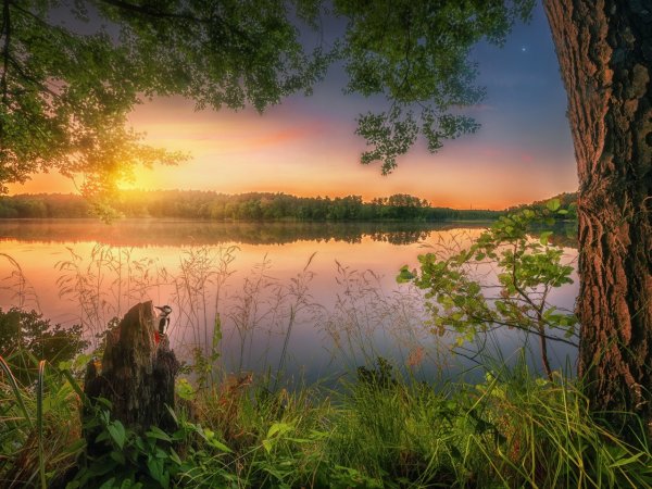 Природа вечер